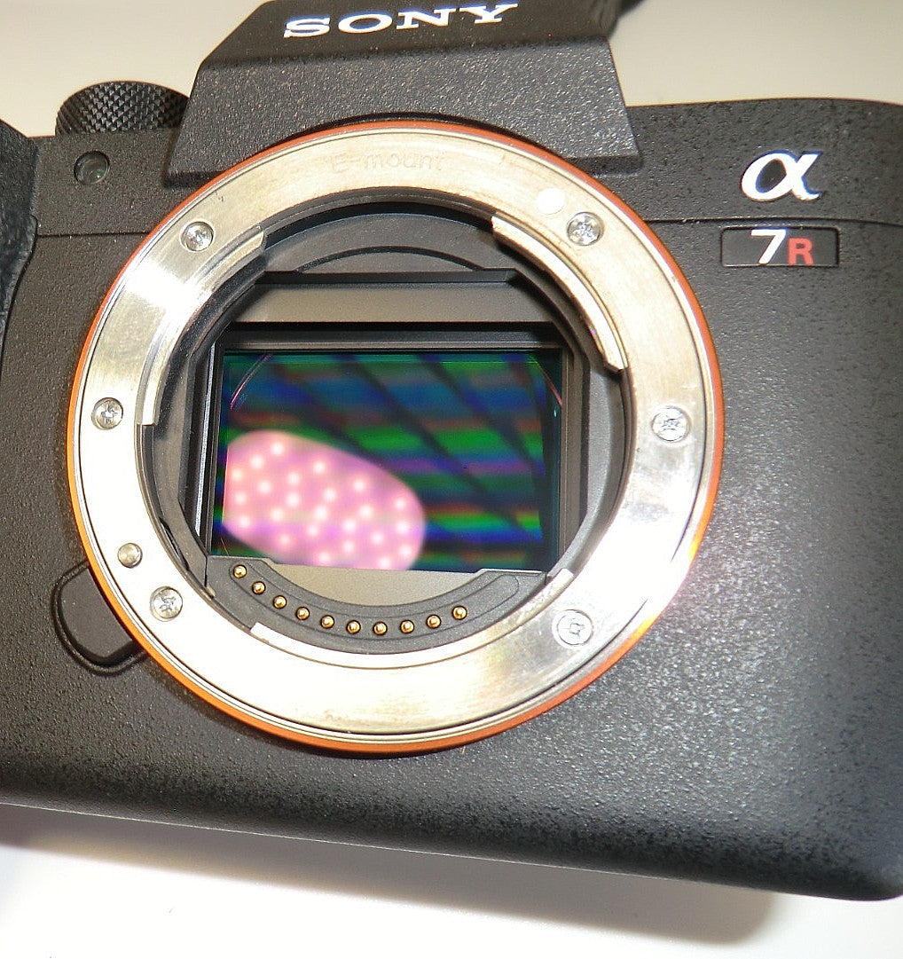 A13_5a260890-87db-4fcb-ba5c-e8004f98d1ce.jpg Sony A7r iv – Image 13