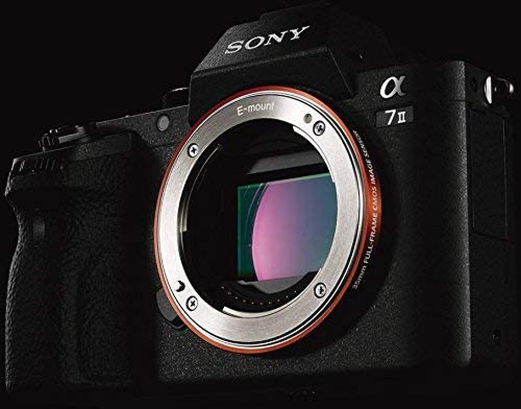Alpha_7_II_Autofocus.jpg Sony Alpha 7II | Appareil Photo Hybride plein format accessible à tous – Image 14