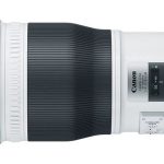 Canon ef-600mm f4 | Le super téléobjectif pour la photographie animalière et sportive