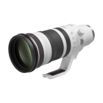 Canon RF 100-300 mm f/2,8 L IS USM | La performance ultime pour les professionnels exigeants.