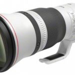 Canon RF 600mm F4 | L'excellence en téléobjectif pour des images époustouflantes.