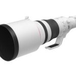 Canon RF 800 mm f5.6 L IS USM | L'excellence optique pour les clichés les plus lointains.