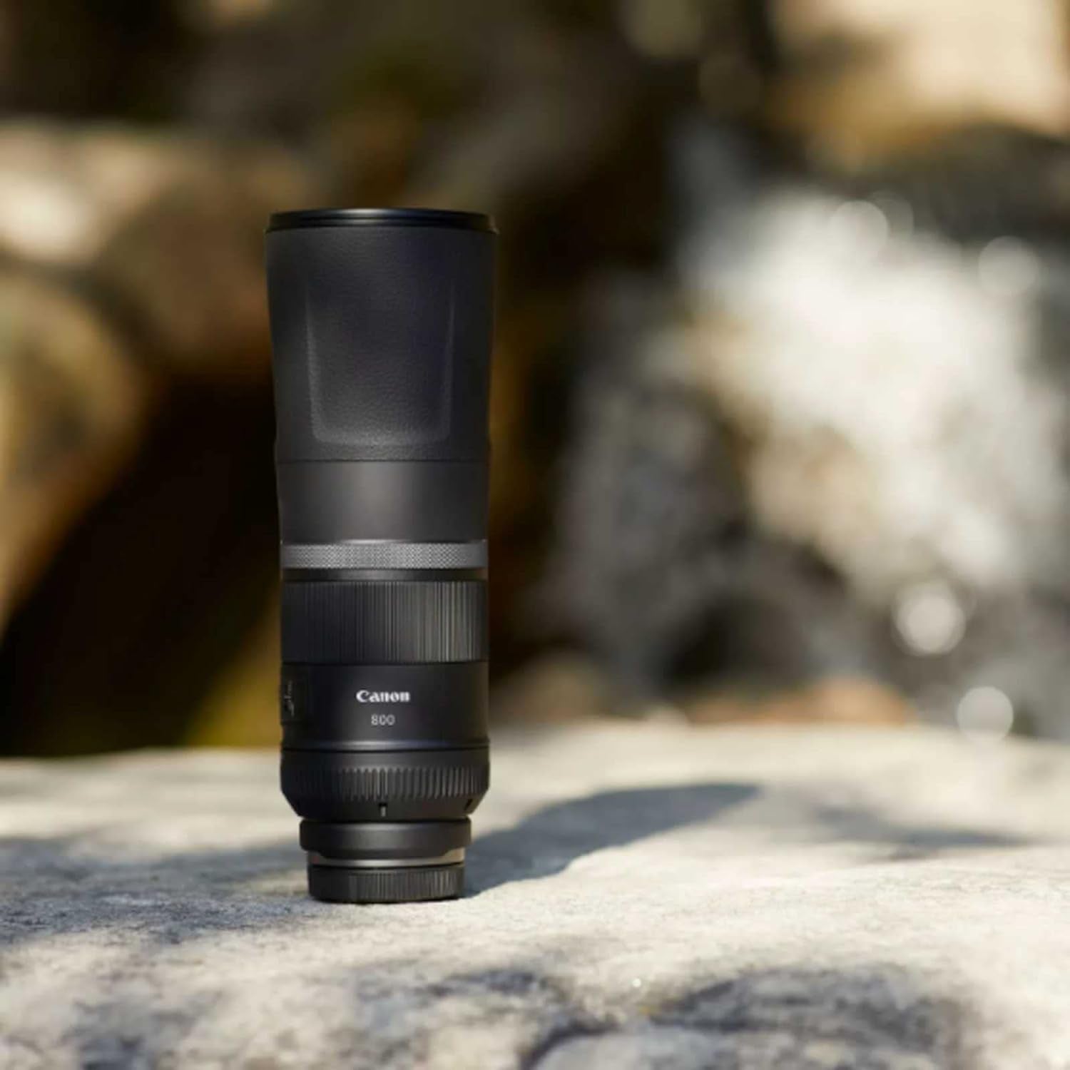 rf_800mm_f11.jpg Objectif canon rf 800mm f11 est stm | Le super téléobjectif qui rapproche l'inaccessible – Image 5